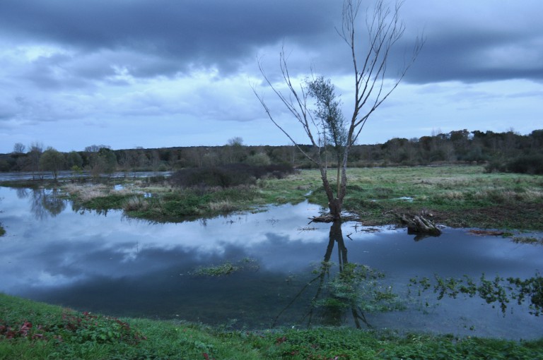 Photo de Sancerre ©standUp
