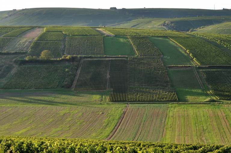 Photo de Sancerre ©standUp