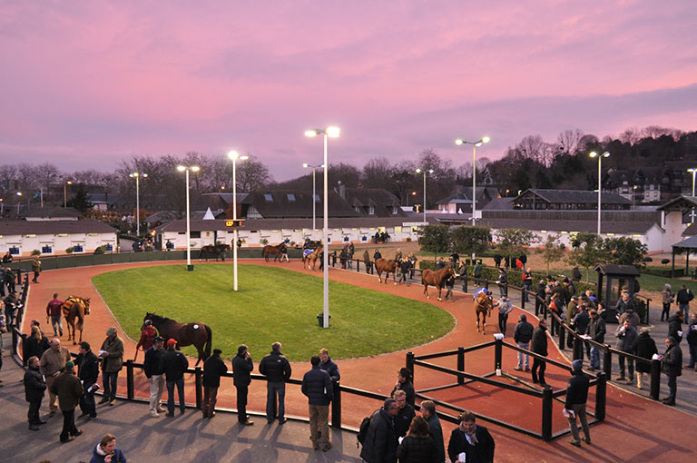 Ring de l'hippodrome de deauville ©StandUP