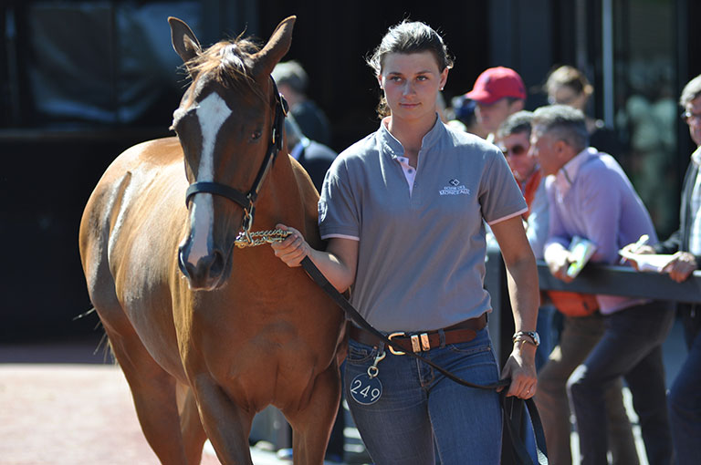 Photo de cheval ©StandUP