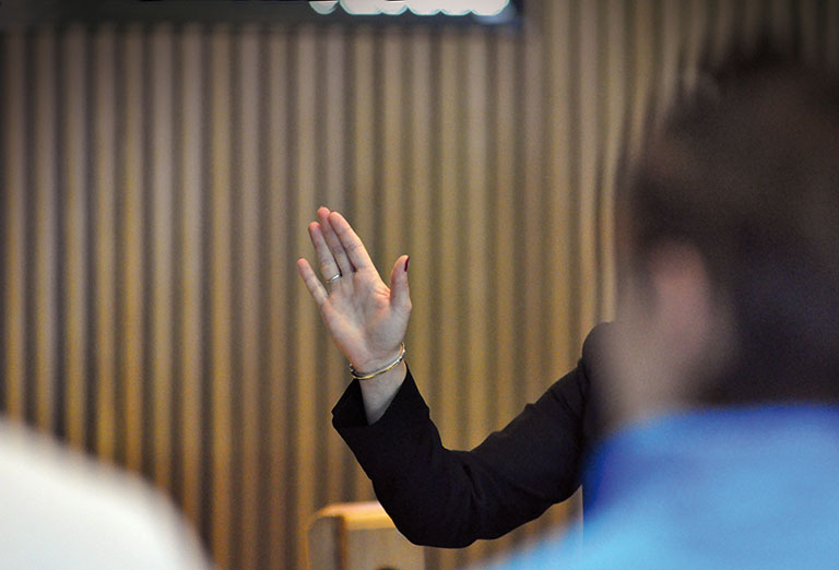 Photo de cheval ©StandUP