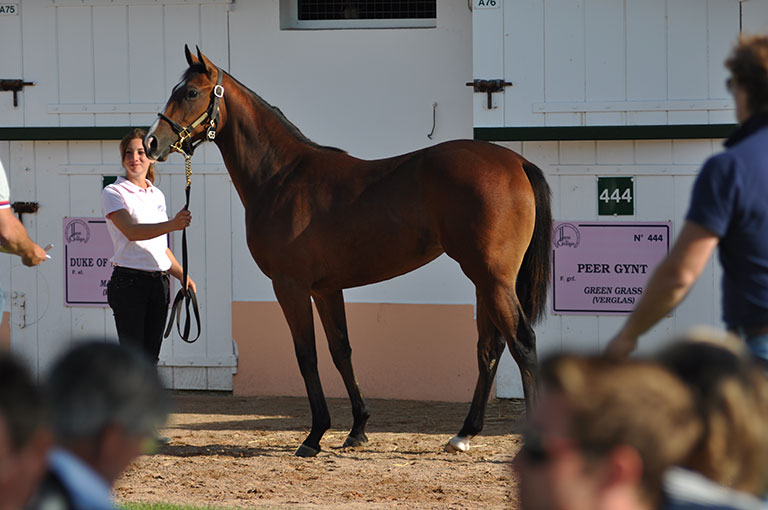 Photo de cheval ©StandUP