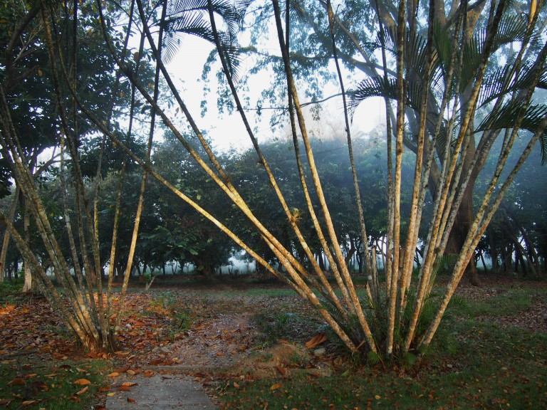 Photo de Cuba ©standUp