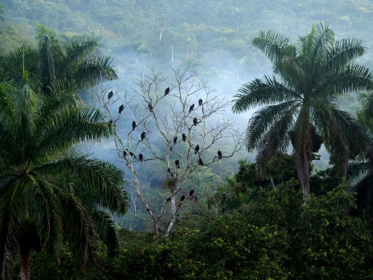 Photo de Cuba ©standUp