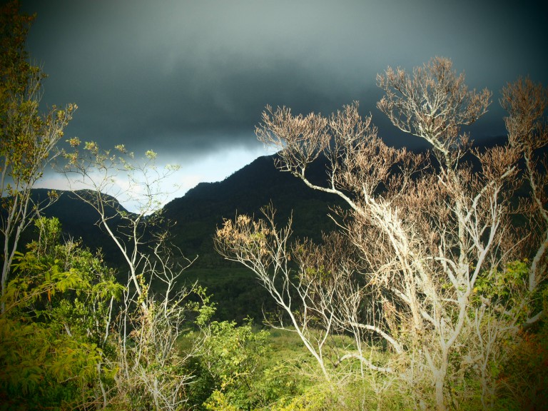Photo de Cuba ©standUp