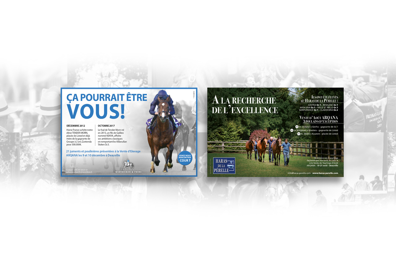 création standUp wertheimer haras de la pérelle