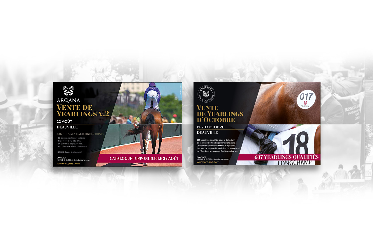 création Standup pub Arqana